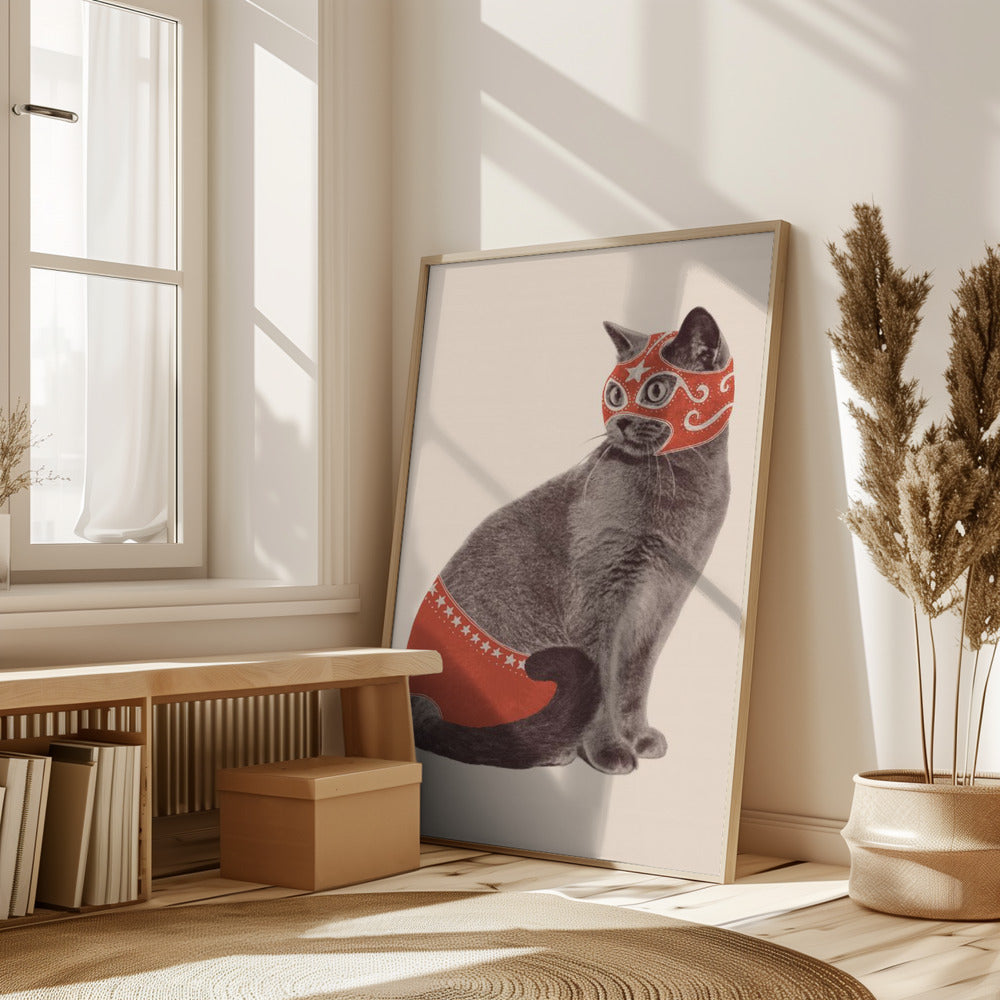 Chat Catcheur Poster