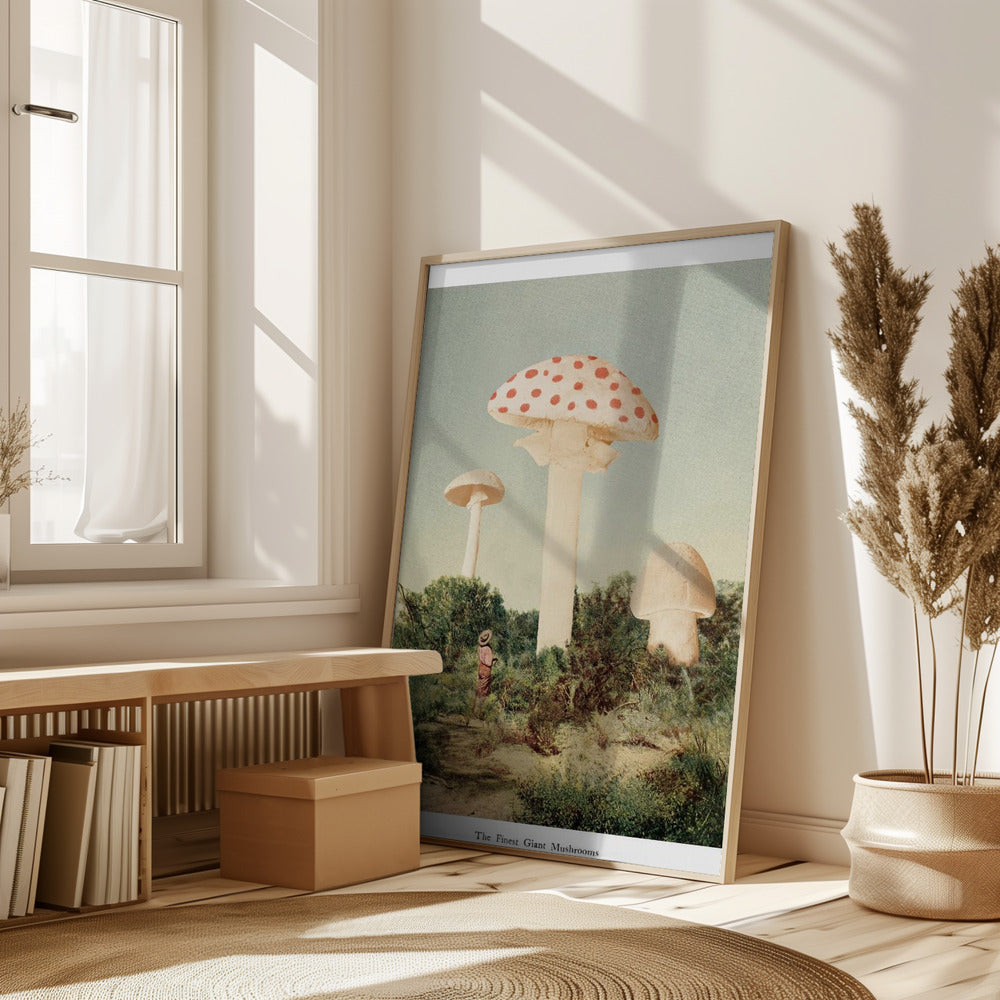 The Finest Giant Mushroom Poster