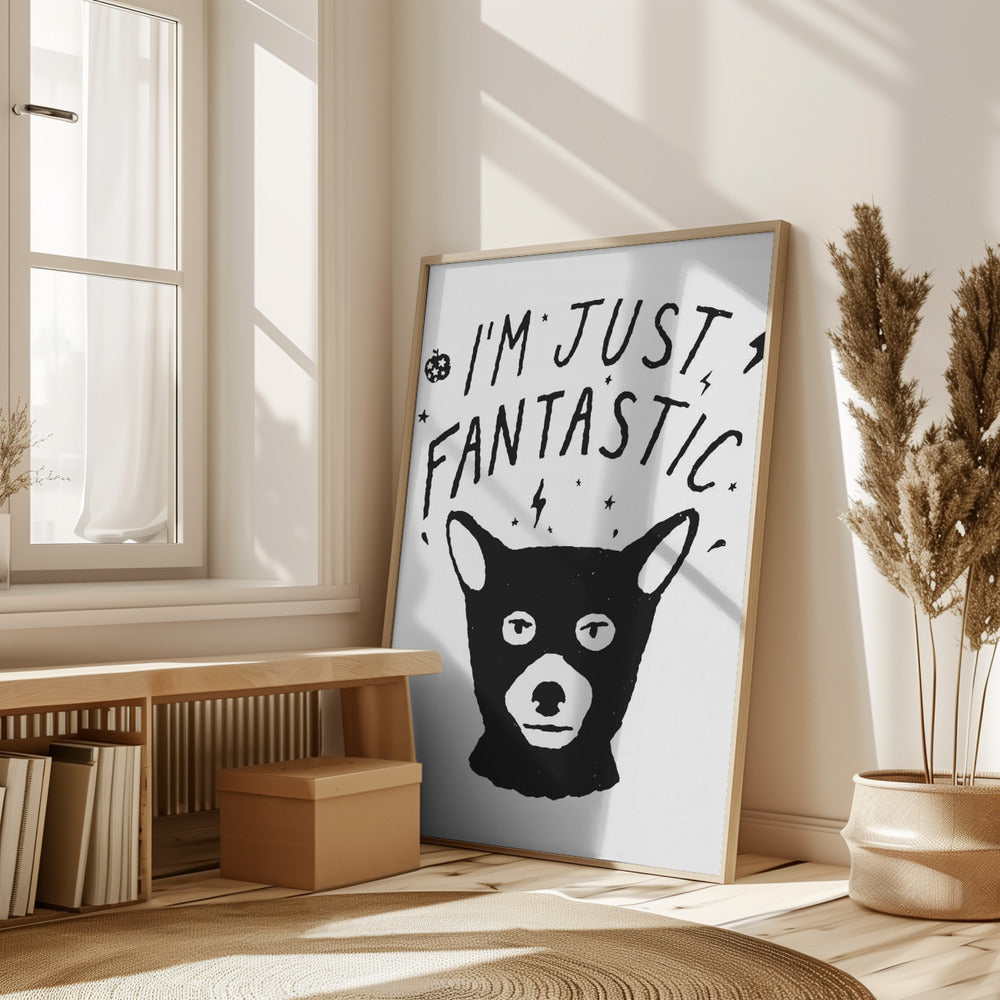 Im Just Fantastic Poster