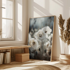 White Poppy Field No 1 Poster