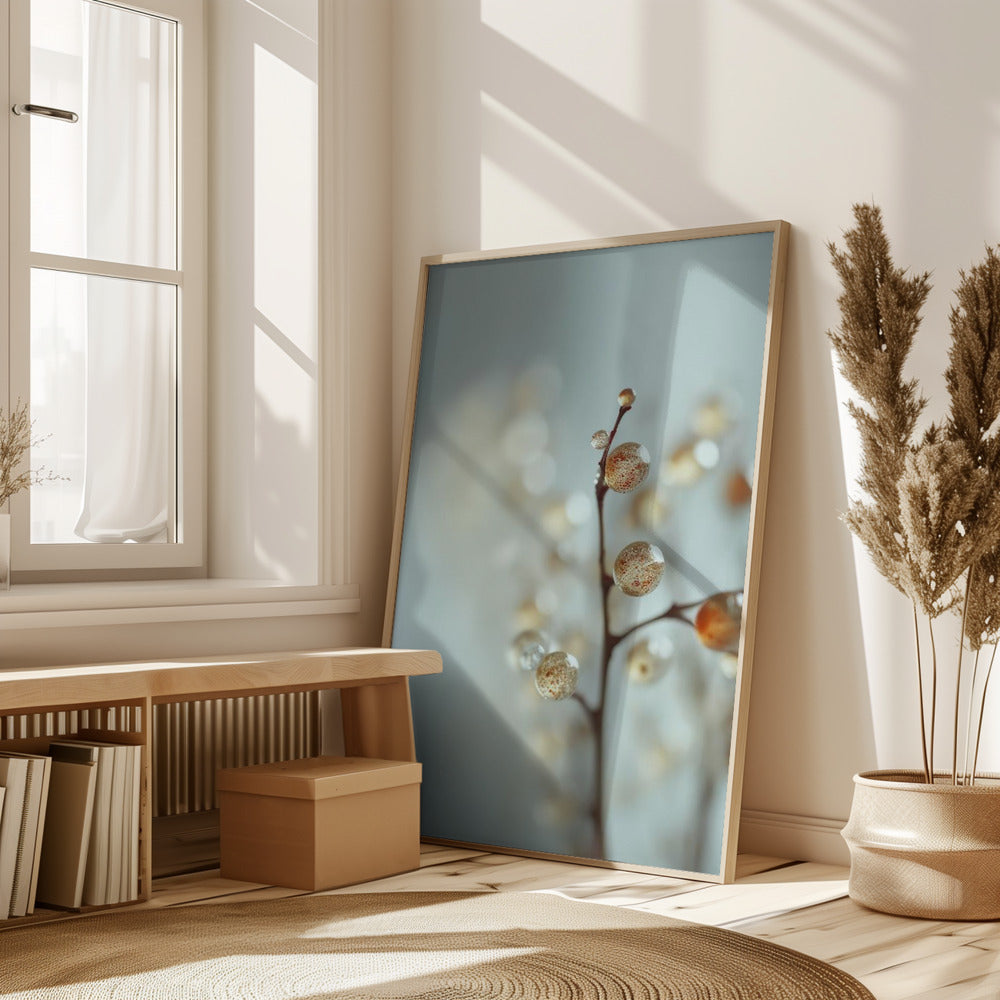 Glassy Berries Poster