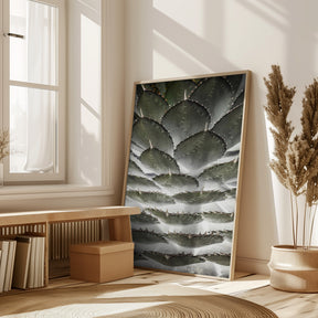 Agave Layers Poster