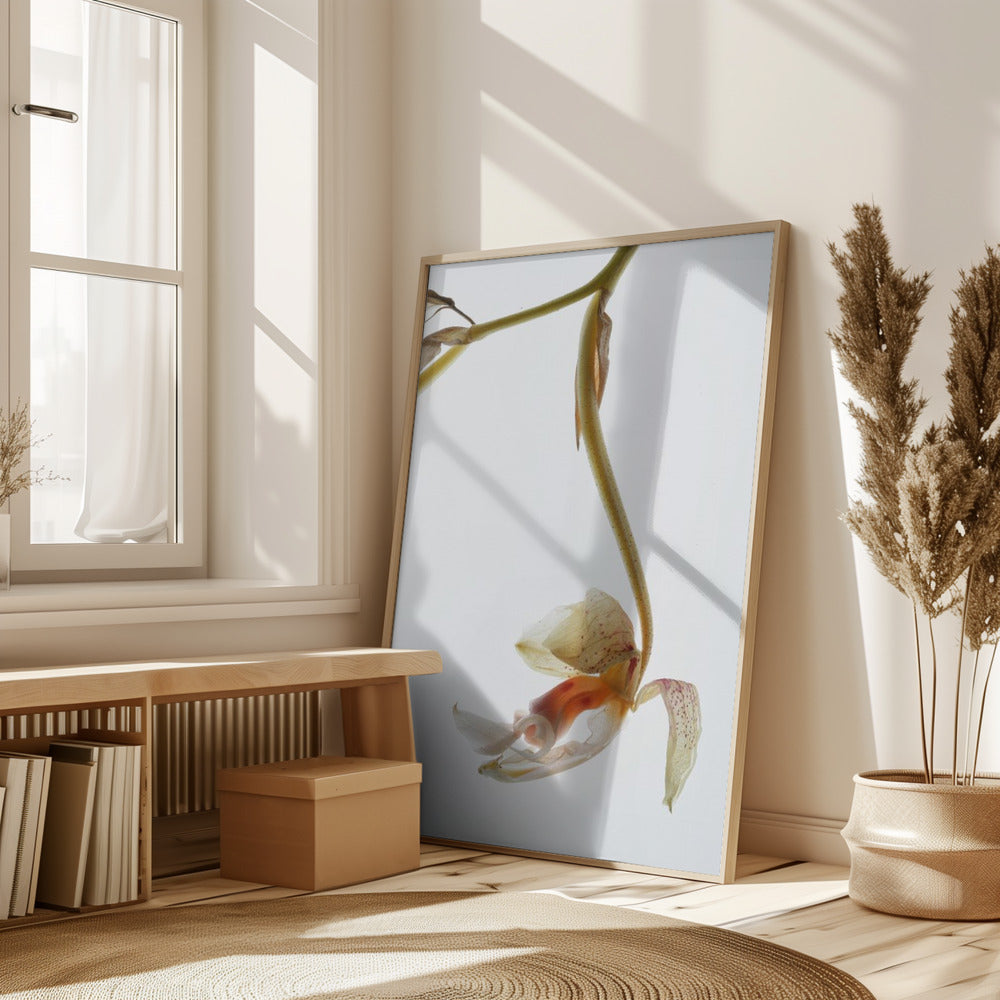 Arch Angle No1 Poster