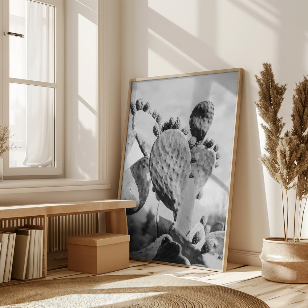 Cacti Cowboy No1 Poster