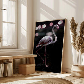 Dancing Flamingo Poster