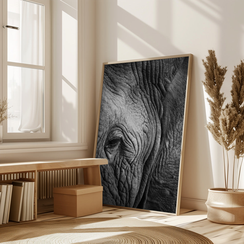 Elephant Study Poster