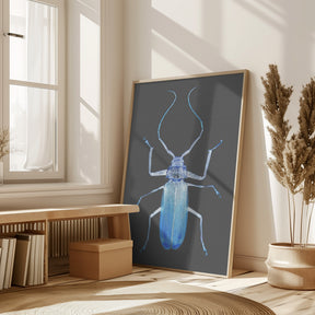 Insect Evolution Poster