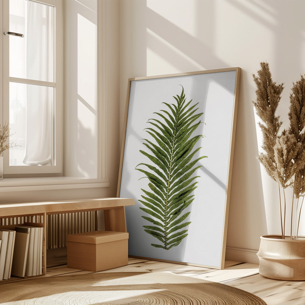 Leaf Study 01 Poster