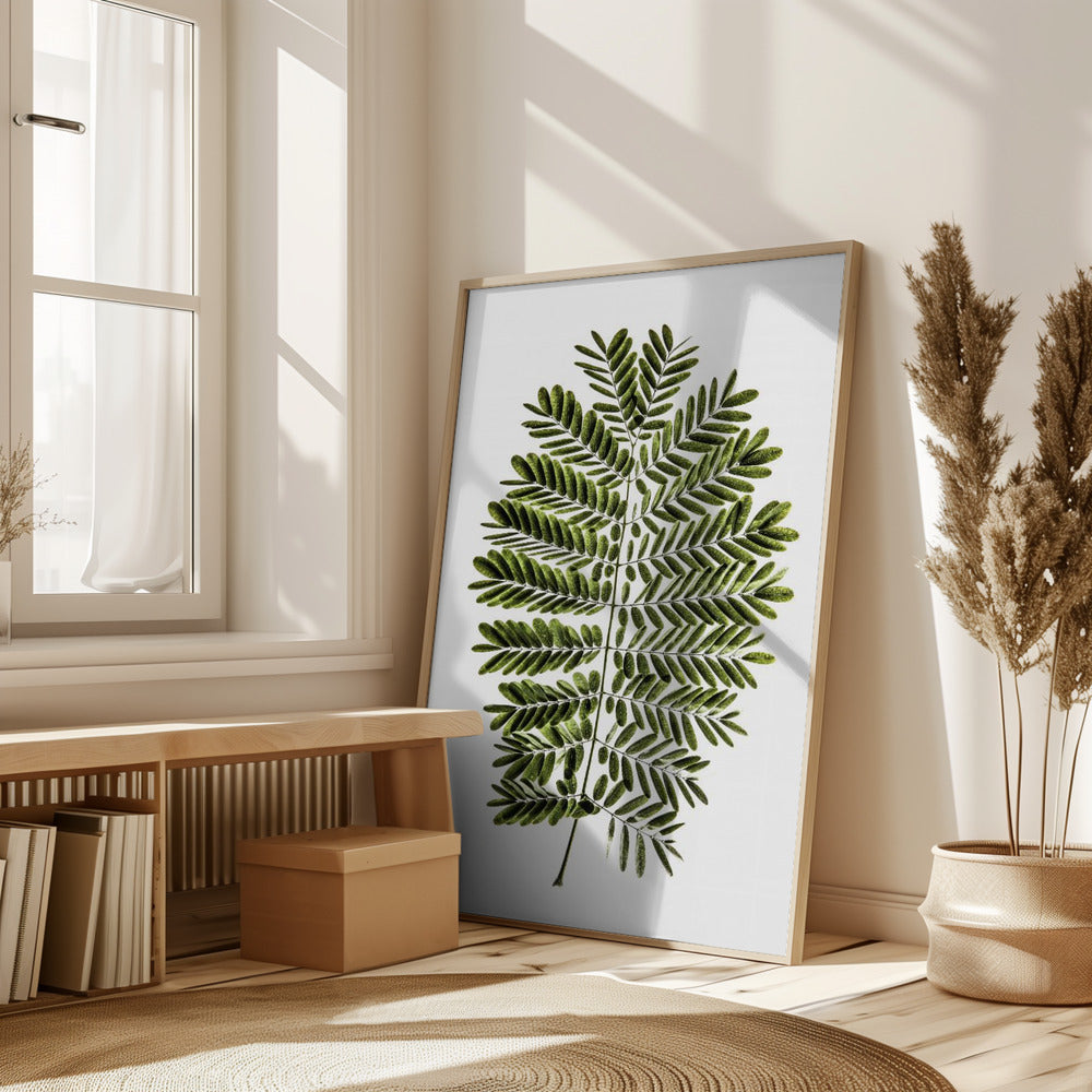 Leaf Study 02 Poster