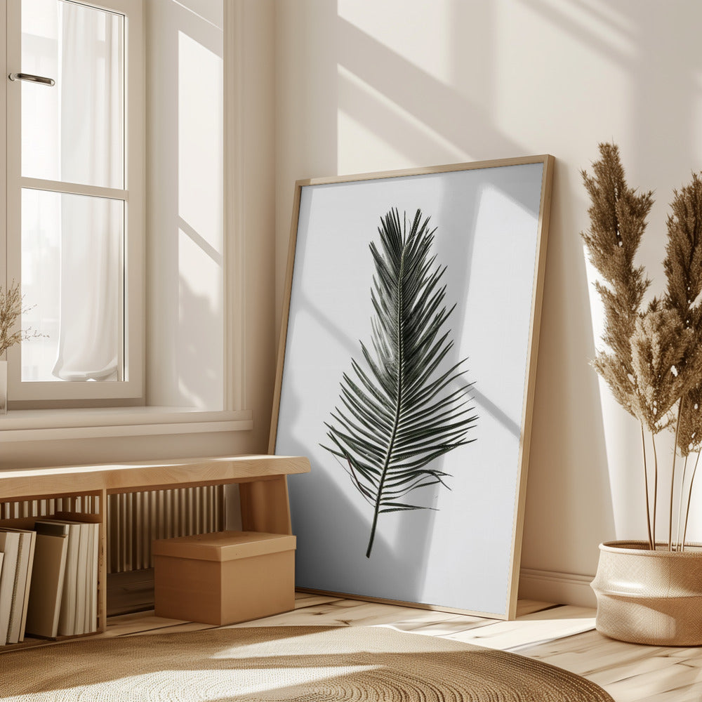 Leaf Study 03 Poster