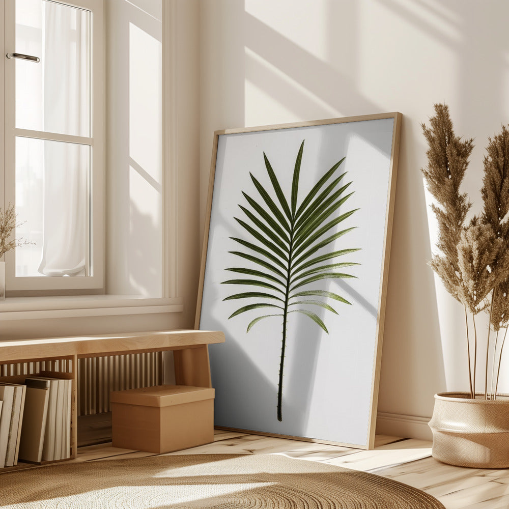 Leaf Study 04 Poster