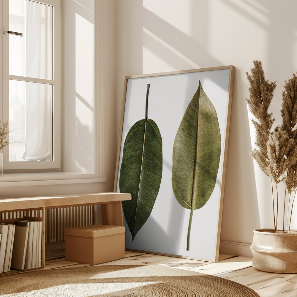 Leaf Study 05 Poster