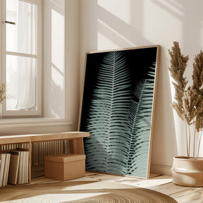 Palm Leaf Poster