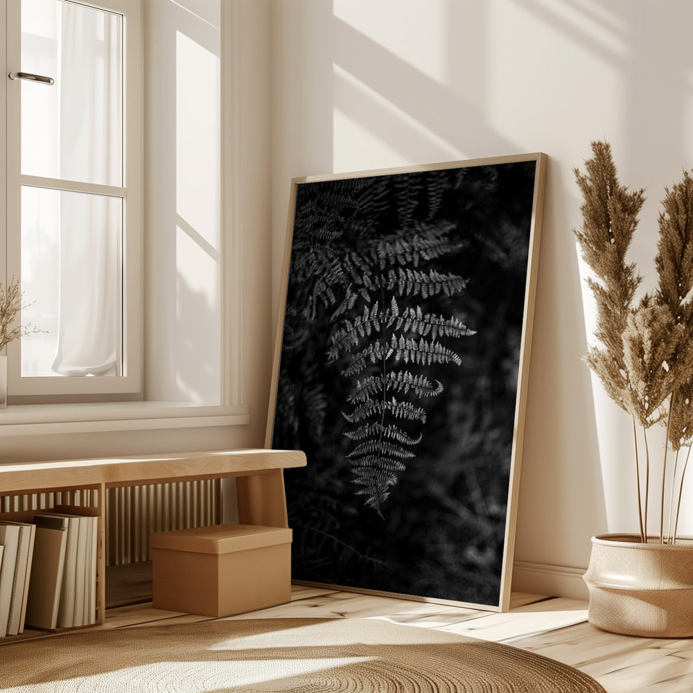 Silver Fern Poster