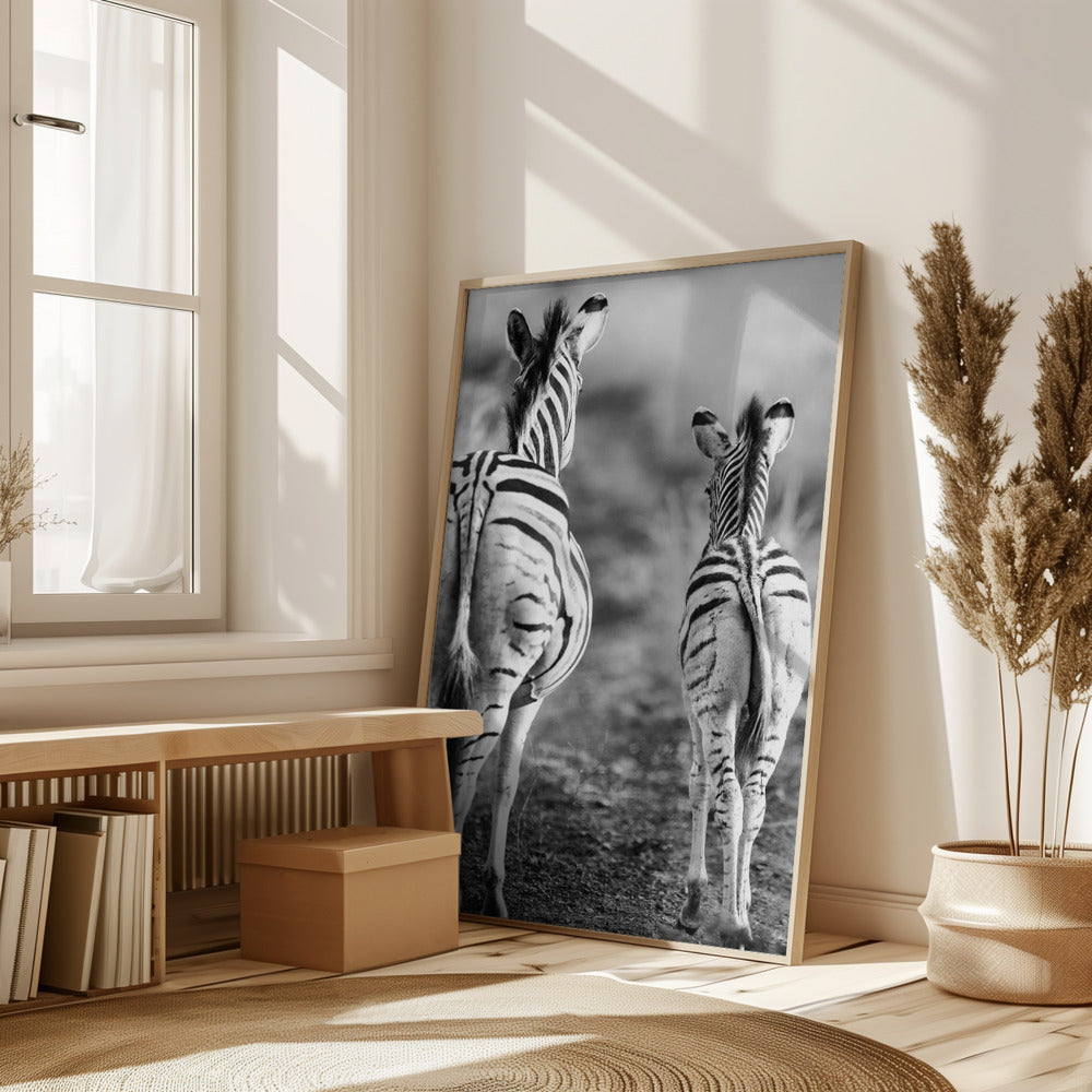 Striped Horse Back Side Poster