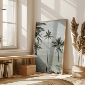 Tropical Dreams Poster