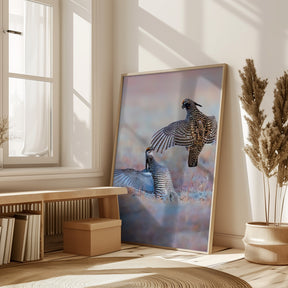 Greater Prairie Chicken-Morning Talking Poster