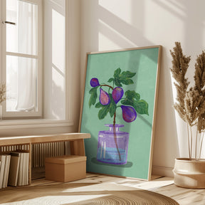 Figs Branch In Vase Poster