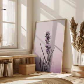 Pastel Lavender Poster