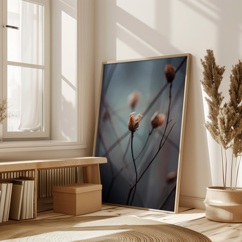 Awakening Beauty Poster