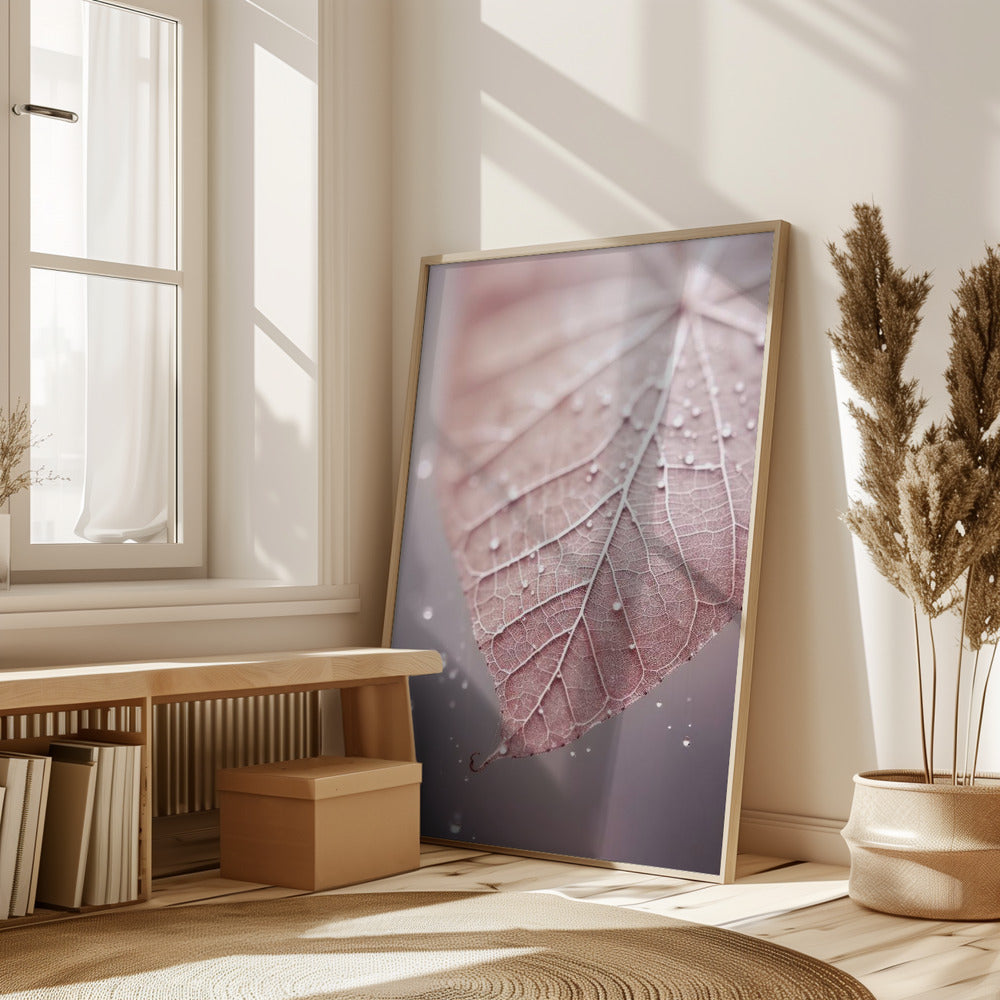 Rosy Leaf Poster