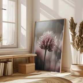 Pastel Nature Macro No 4 Poster