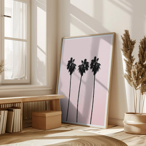 Pinky Palms Poster