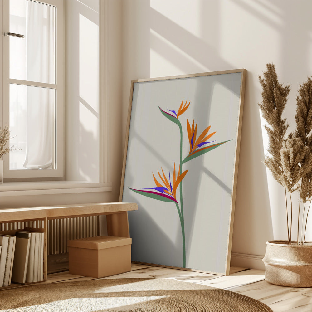 Bird of paradise Poster