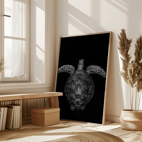 Green turtle on black and white Poster