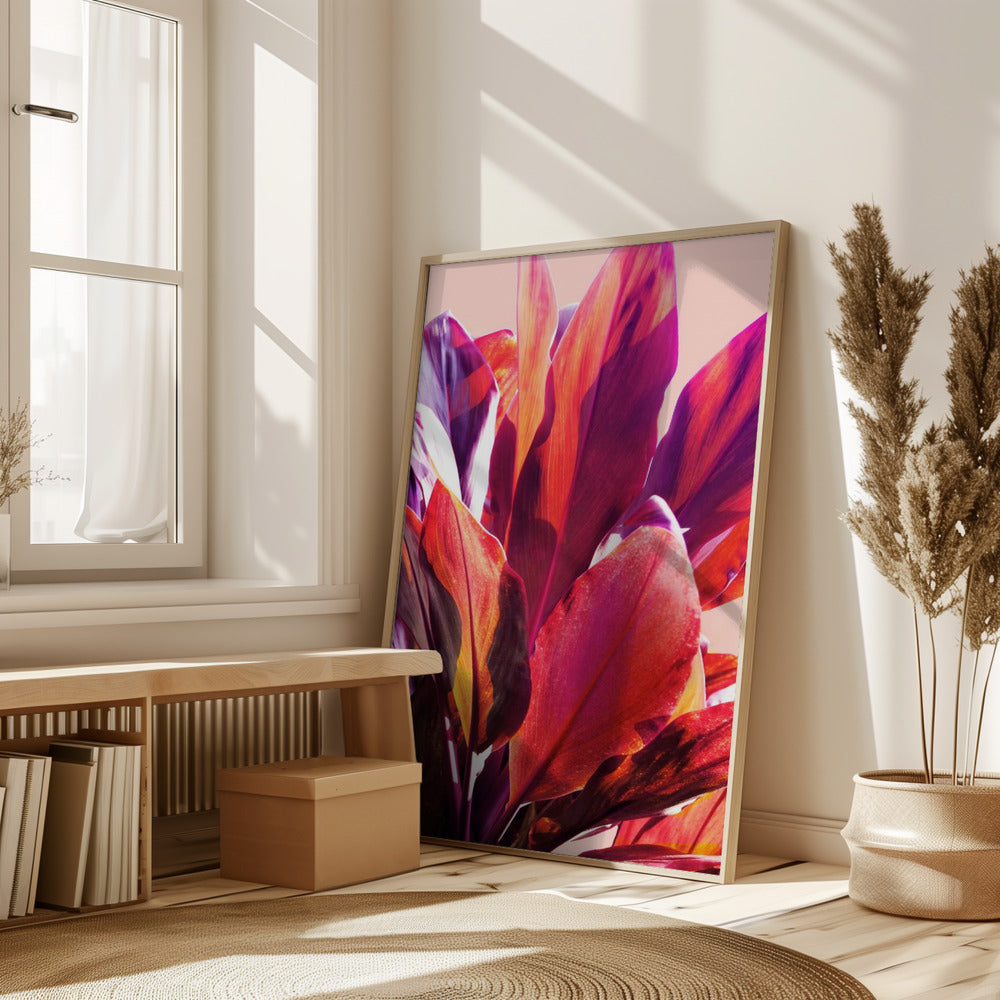 Fuchsia Leaves I Poster