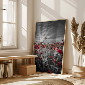 Gorgeous sunset in a poppy field | colorkey Poster