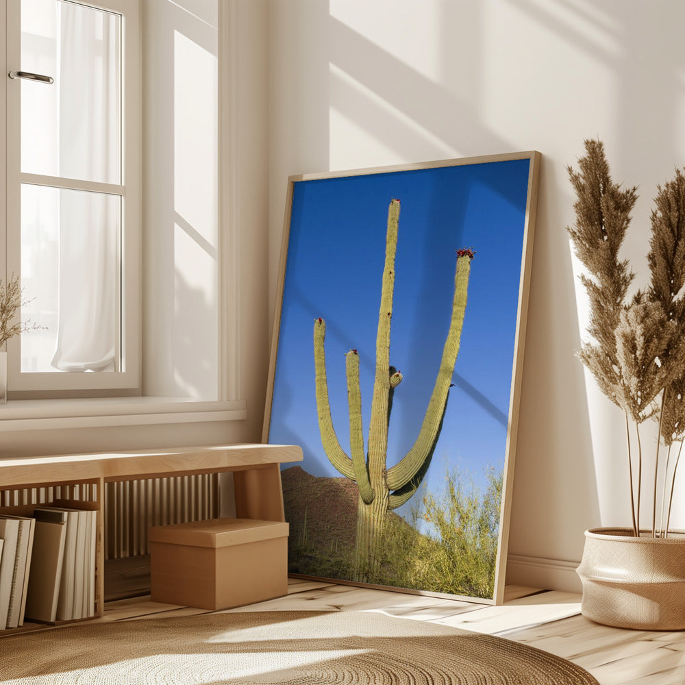 SAGUARO NATIONAL PARK Giant Saguaro Poster