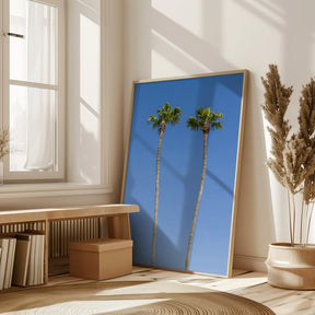 Idyllic Palm trees Poster