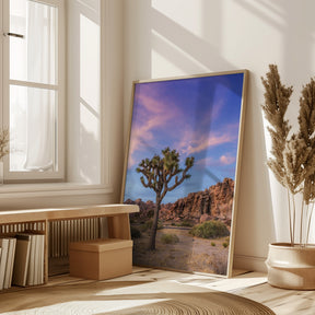 Joshua Tree Evening Atmosphere Poster