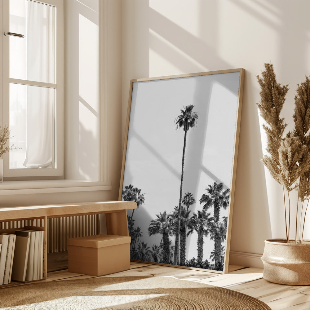 Palm Trees at the beach | monochrome Poster