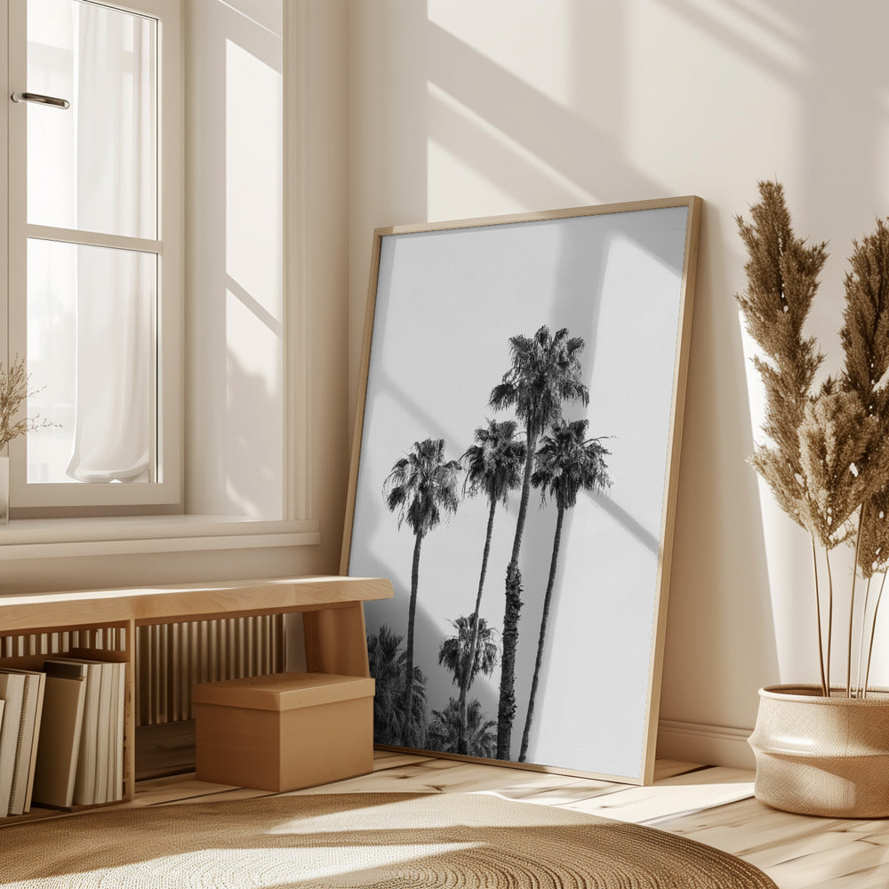 Palm trees | monochrome Poster