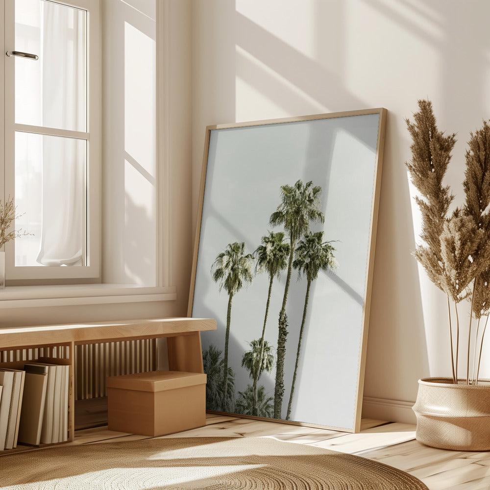 Palm Trees Summertime Poster