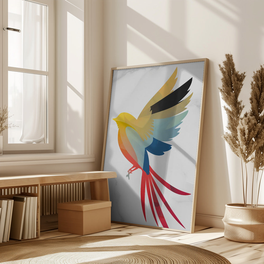 Colorful Bird Poster