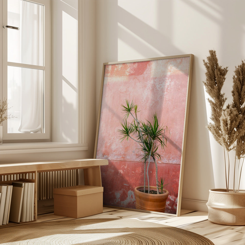 Botanical Oaxaca | Mexico travel photography Poster