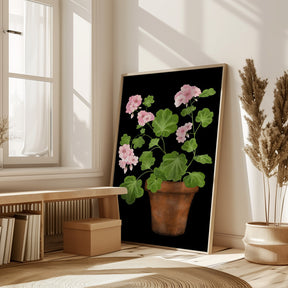 Pink Geranium Poster