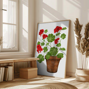 Red Geranium Poster