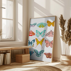 Butterfly Poster