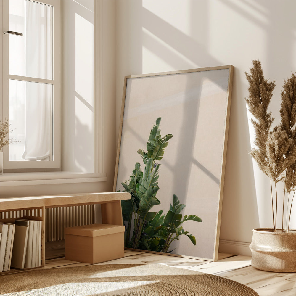 Botanical Cannes Poster