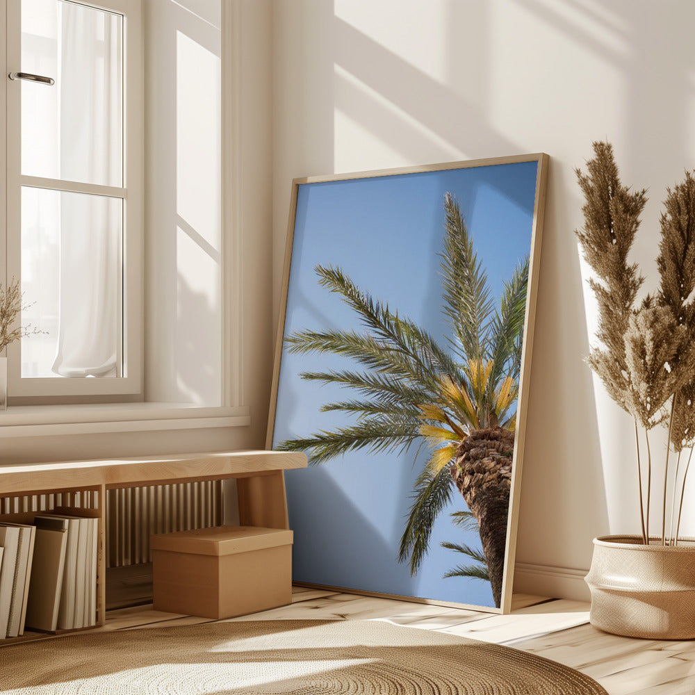 Vejer de La Frontera Palm Tree Poster