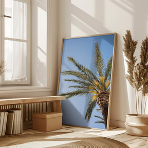 Vejer de La Frontera Palm Tree Poster