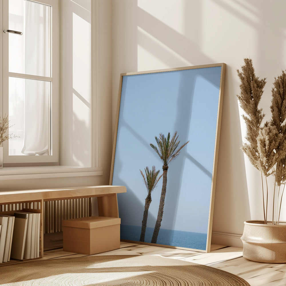 Moroccan Coast Palm Trees Poster