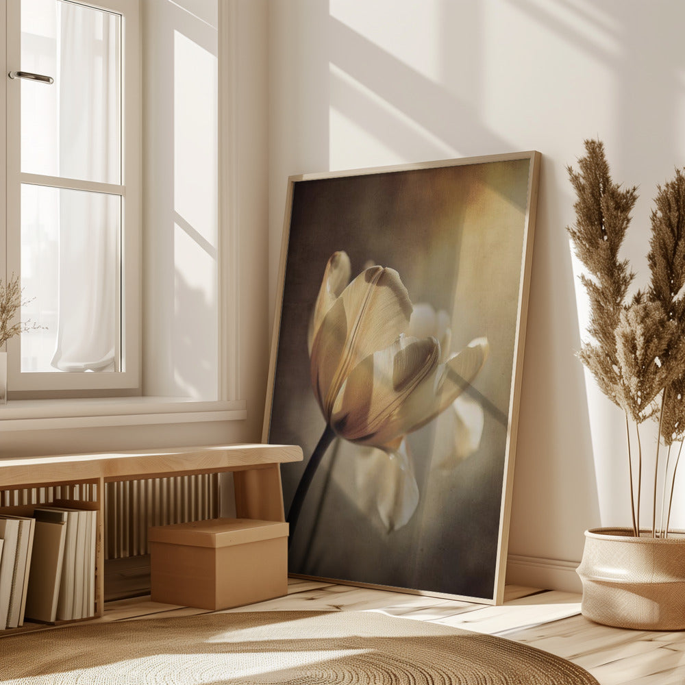 Pastel Tulip Poster