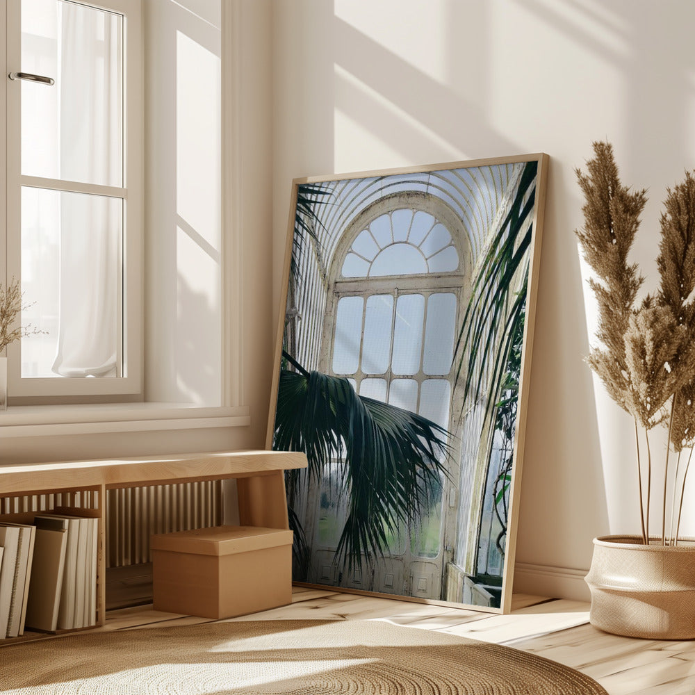 Palm House Windows Poster