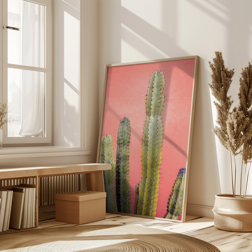 Pretty Pink Cactus Marrakech Poster