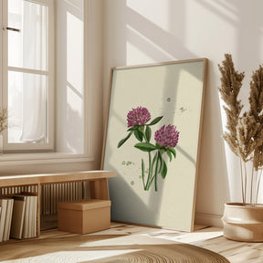 Red Clover Poster